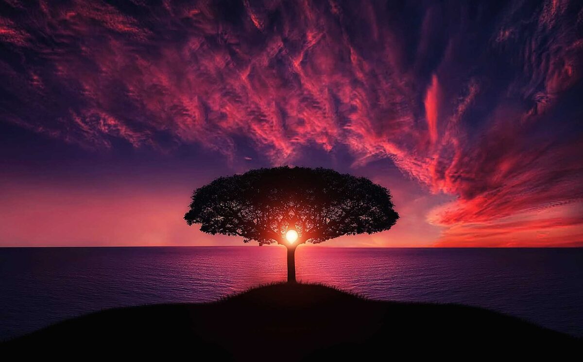 Treeofliving.com